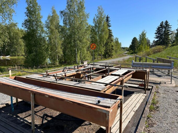 Hauralan matonpesupaikka